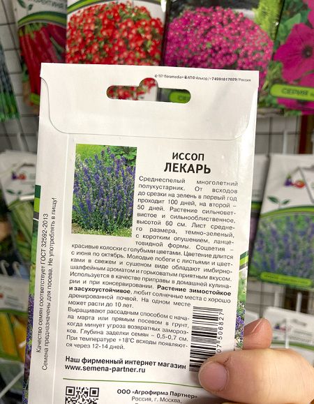 иссоп Лекарь